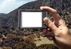 Digital camera
