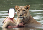 Man and Lioness are in love